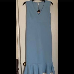 Brand New Pink Blush Maternity Dress